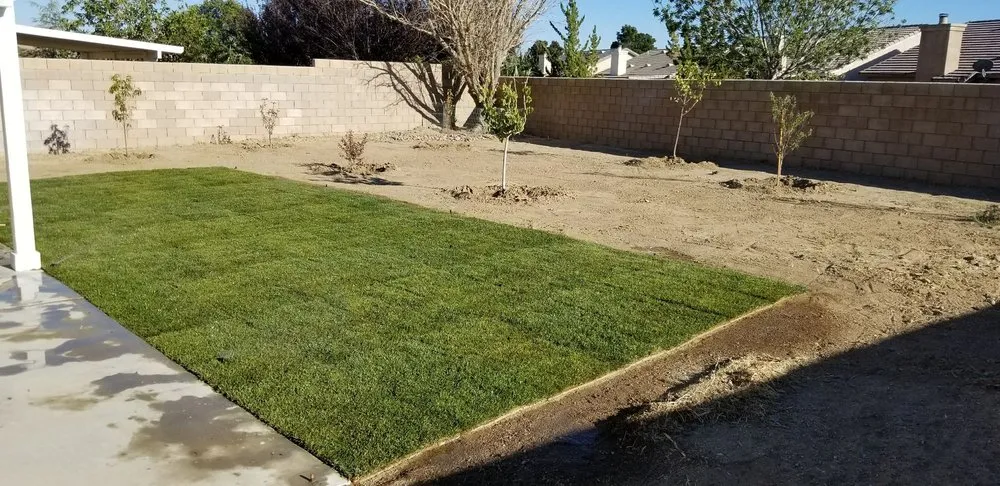 Reliable lawn mowing service in Lancaster, CA - Wilson's Landscaping and Maintenance