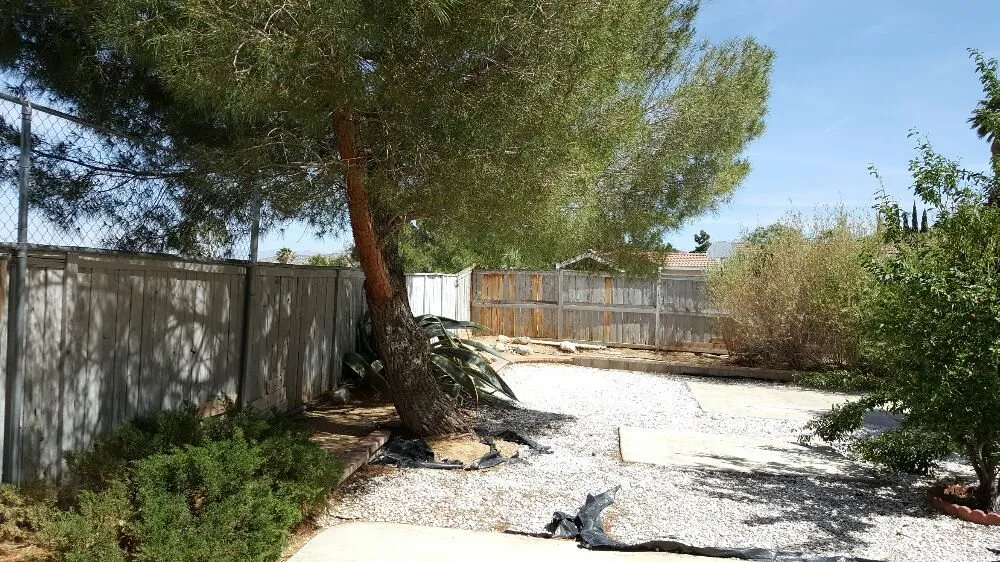 Local outdoor landscaping in Lancaster, CA - Wilson's Landscaping and Maintenance