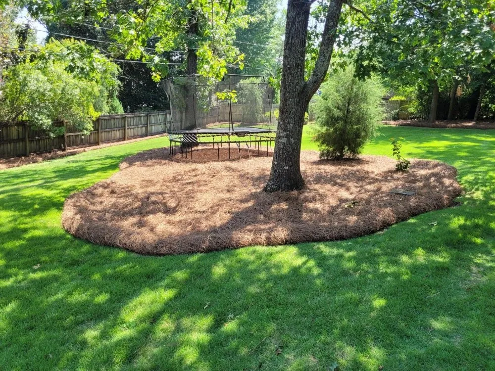 Expert landscape design in Irondale, AL - Wilsons Landscaping and Services