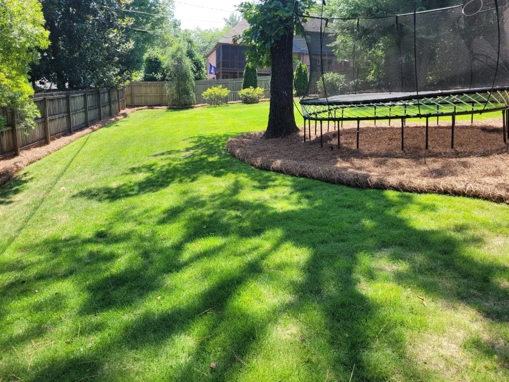 Top-rated lawn mowing service in Irondale, AL - Wilsons Landscaping and Services