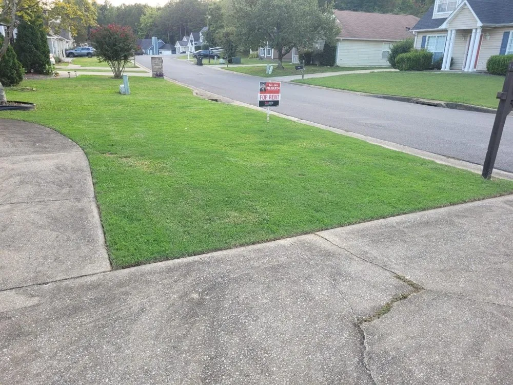 Expert yard maintenance in Irondale, AL by Wilsons Landscaping and Services