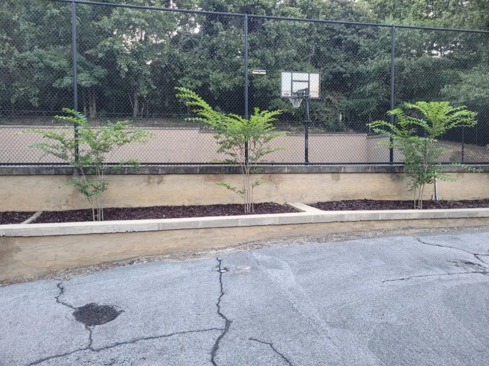 Reliable lawn care service in Irondale, AL by Wilsons Landscaping and Services