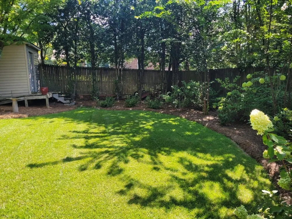 Local yard cleanup service for residential properties across Irondale, AL - Wilsons Landscaping and Services