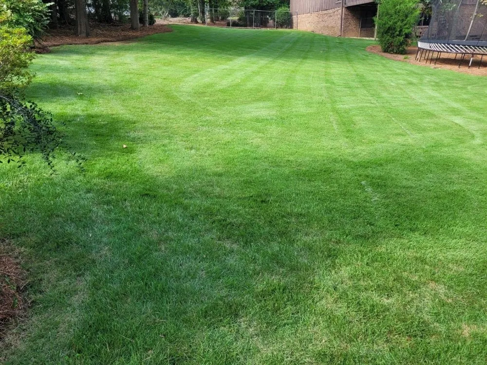 Affordable yard cleanup service for homes in Irondale, AL by Wilsons Landscaping and Services