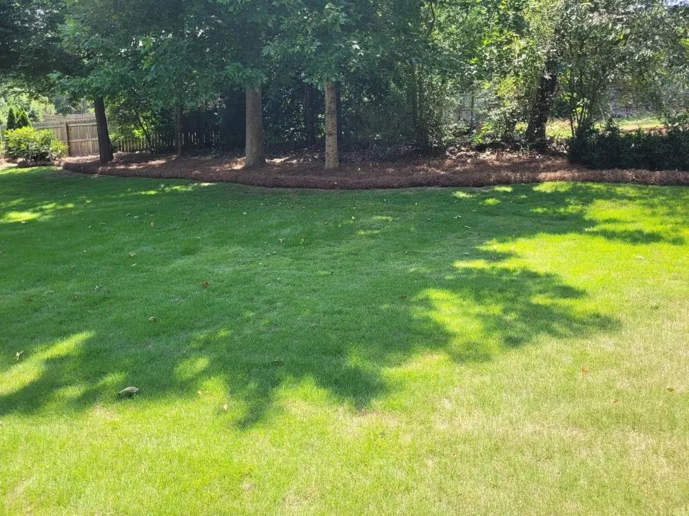 Trusted outdoor landscaping in Irondale, AL by Wilsons Landscaping and Services