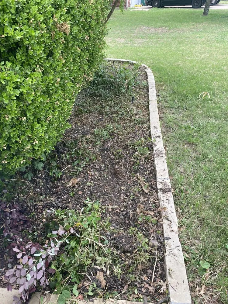 Reliable landscape installation for year-round maintenance across Cedar hill, TX - Wilsons Landscaping
