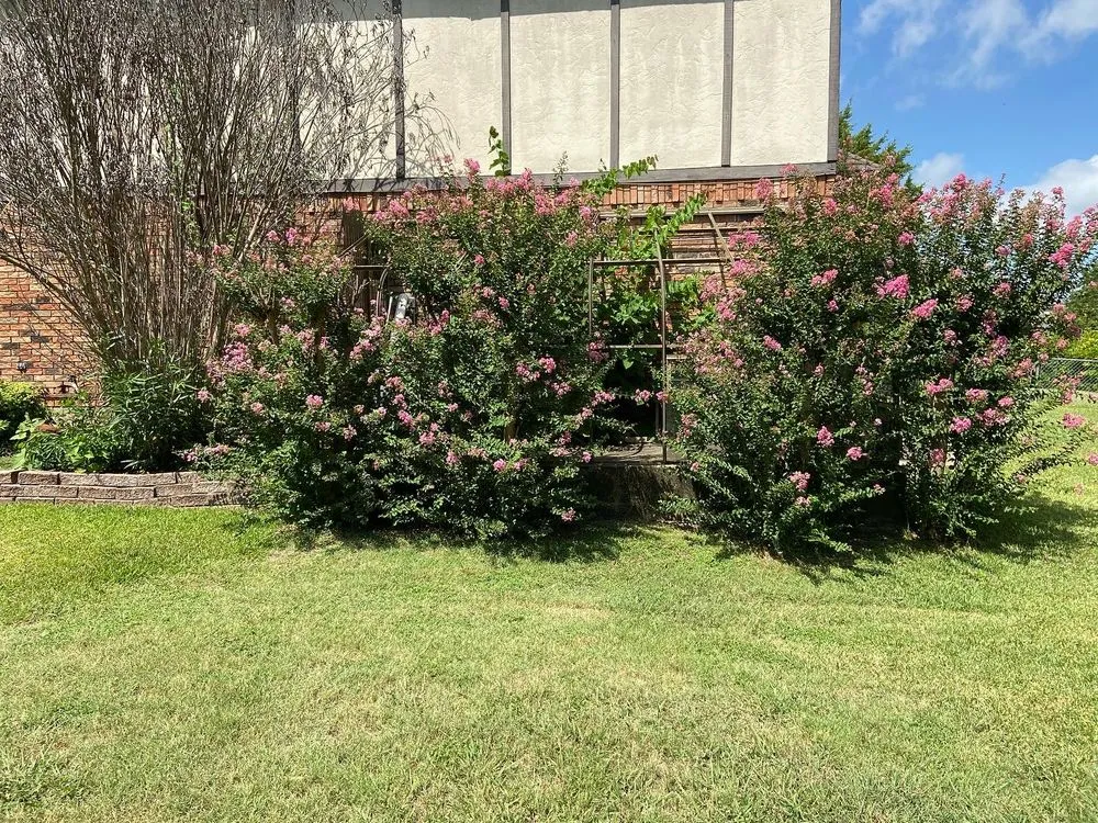 Top-rated residential landscaping near you across Cedar hill, TX - Wilsons Landscaping