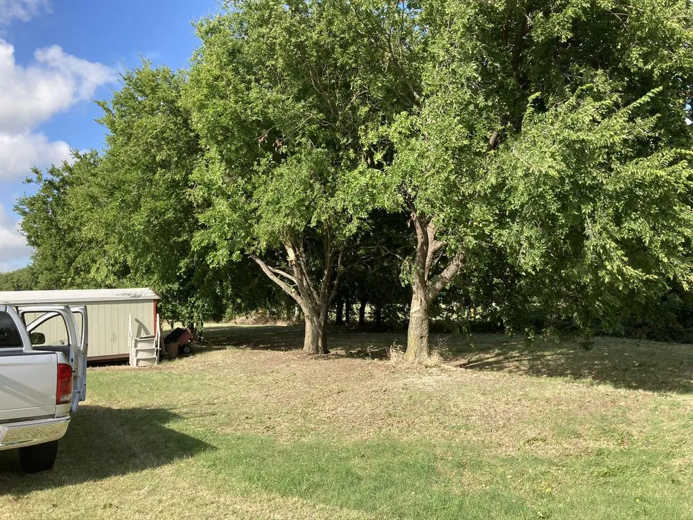 Affordable outdoor landscaping for beautiful yards in Cedar hill, TX by Wilsons Landscaping