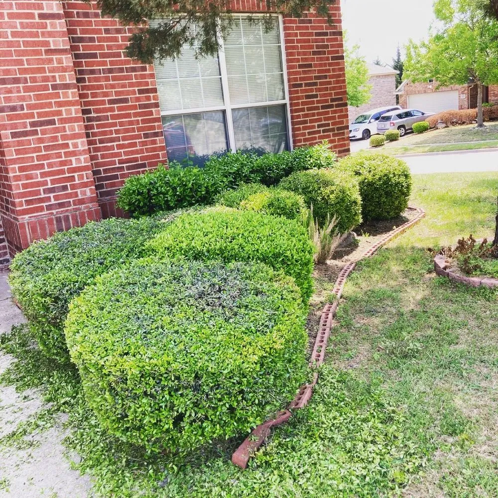 Local lawn mowing service in Cedar hill, TX - Wilsons Landscaping