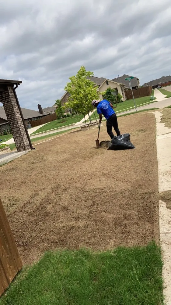 Reliable landscape design in Cedar hill, TX - Wilsons Landscaping