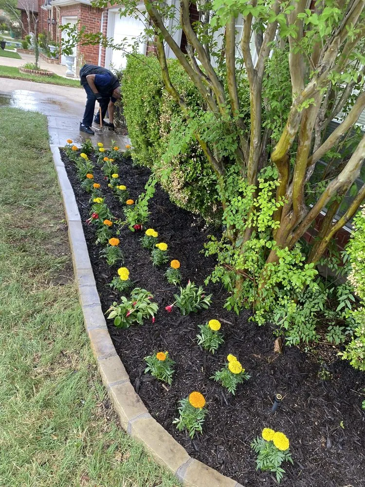 Top-rated lawn mowing service in Cedar hill, TX by Wilsons Landscaping