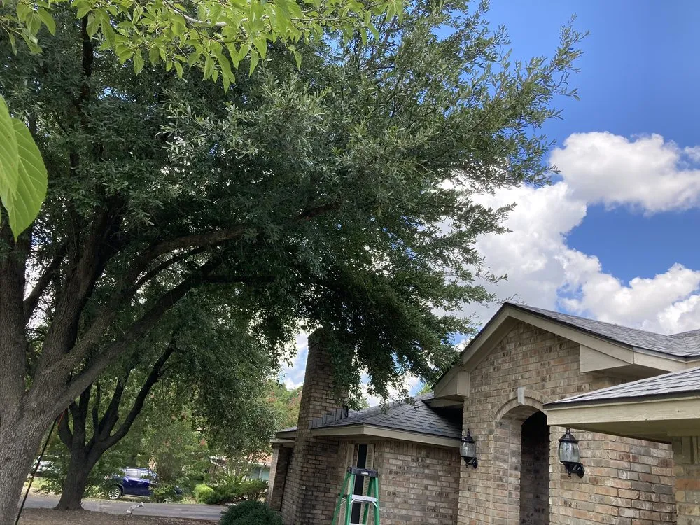 Expert yard cleanup service near you across Cedar hill, TX - Wilsons Landscaping