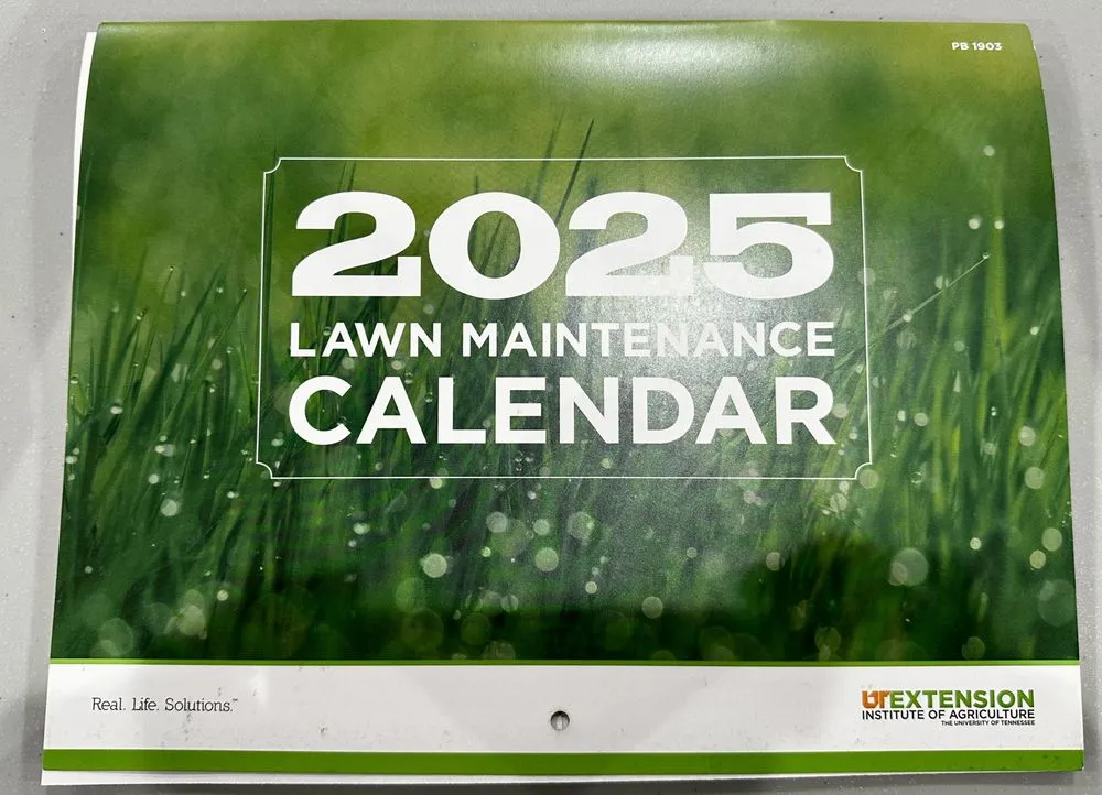 Affordable lawn mowing service in Guild, TN - Wilson’s Landscaping