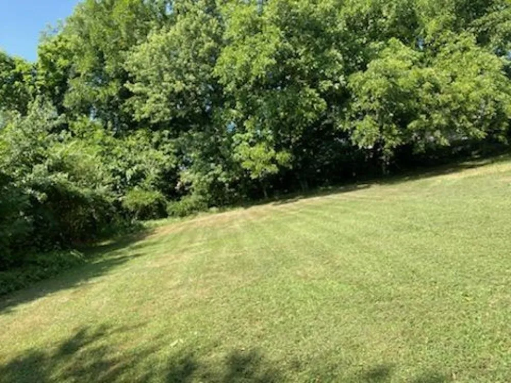 Reliable yard cleanup service experts serving Henderson, NC - Wilson’s Landscaping