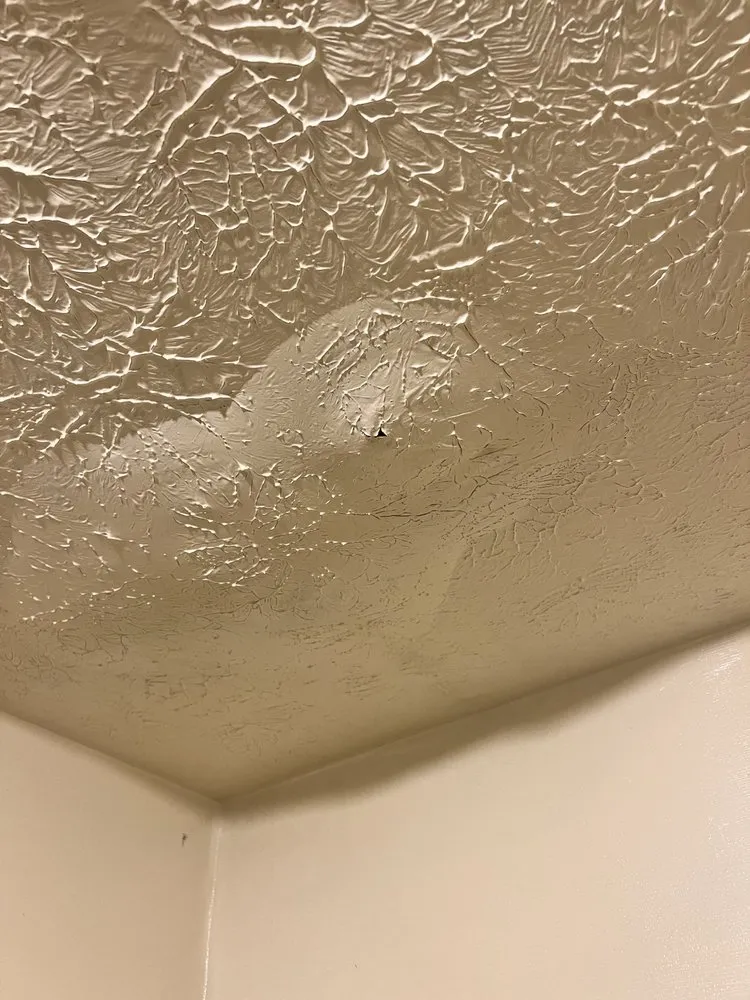 Custom landscaping services for residential properties in Jackson, MS by Wilsons Landscaping