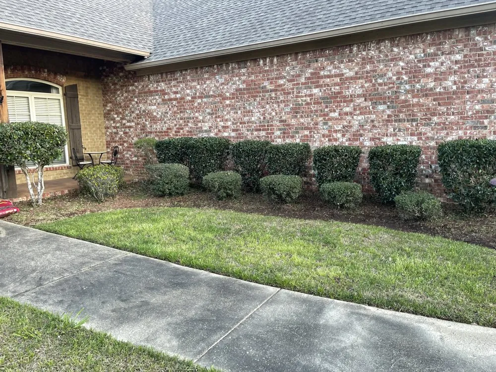 Affordable lawn care service in Jackson, MS by Wilsons Landscaping