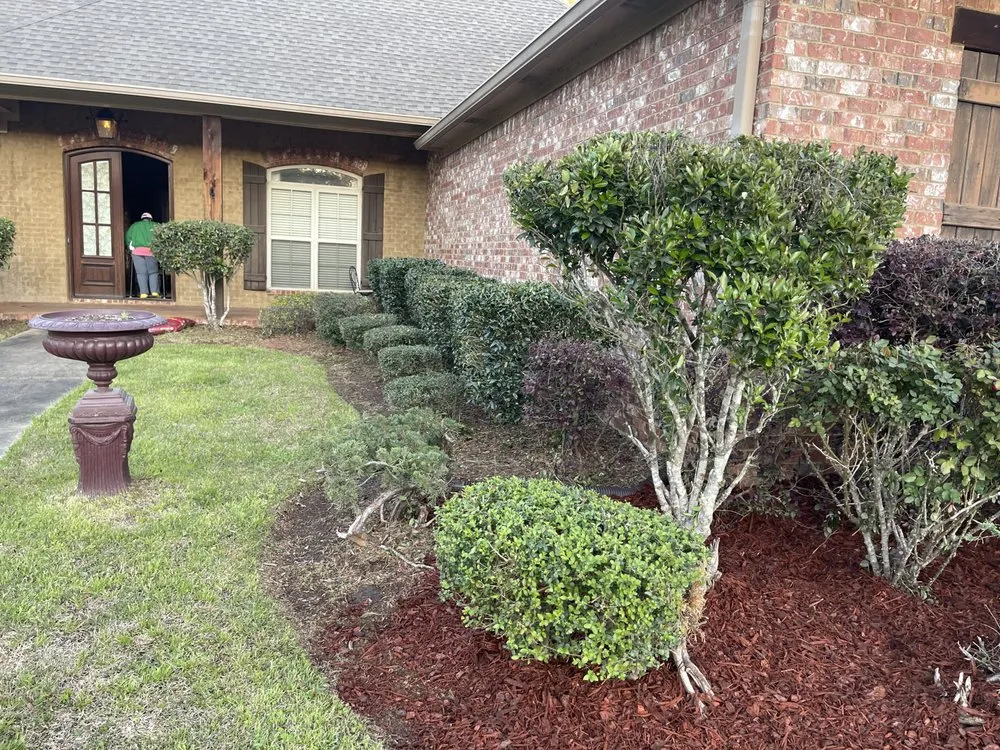 Professional lawn mowing service in Jackson, MS by Wilsons Landscaping