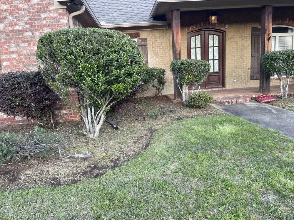 Trusted yard maintenance for year-round maintenance in Jackson, MS by Wilsons Landscaping