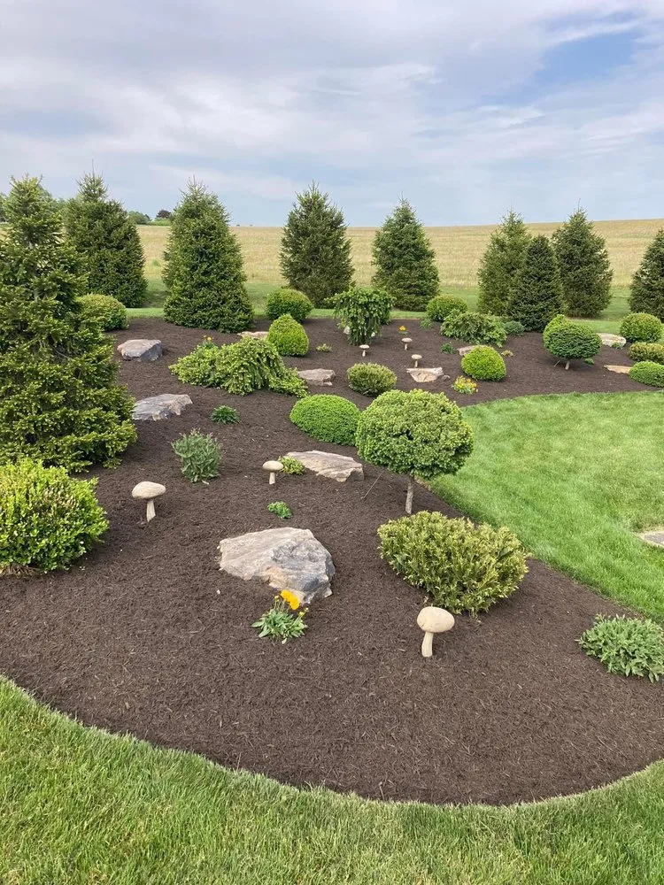 Top-rated yard cleanup service in Mill Hall, PA by Wilson's Landscaping