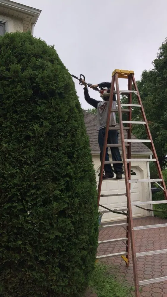 Top-rated lawn mowing service in Philadelphia, PA - Wilson’s Landscaping Services