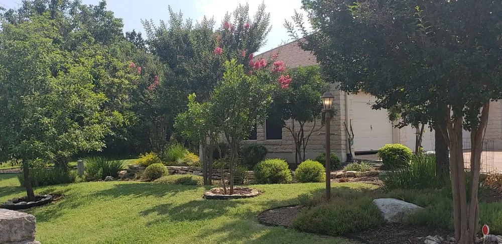 Custom yard maintenance in Round Rock, TX by Wilson's Lawn and Landscaping
