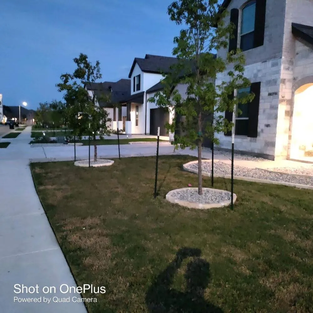 Top-rated lawn mowing service in Round Rock, TX by Wilson's Lawn and Landscaping