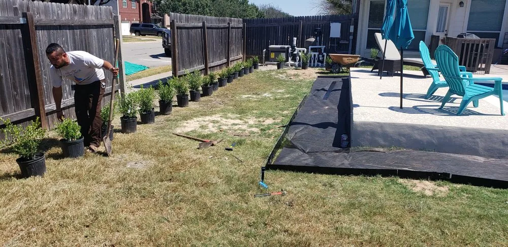 Reliable landscaping services in Round Rock, TX - Wilson's Lawn and Landscaping