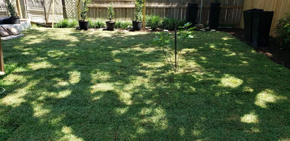 Top-rated yard cleanup service experts serving Round Rock, TX - Wilson's Lawn and Landscaping