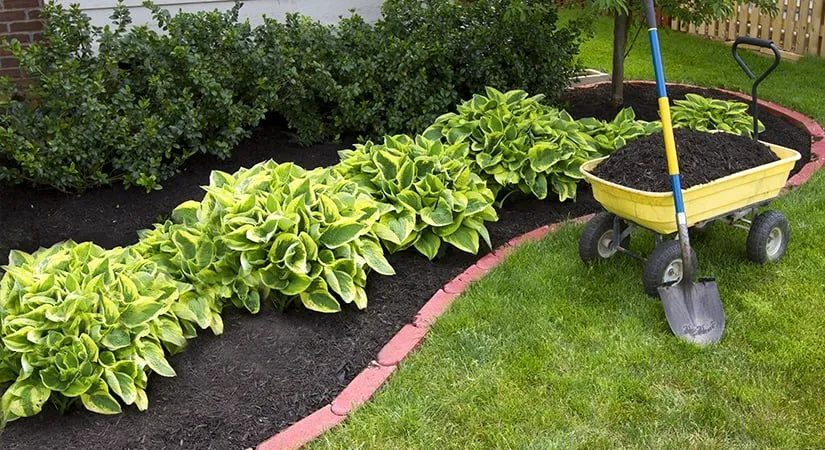 Expert garden landscaping in Akron, OH - Wilson's Lawn Care