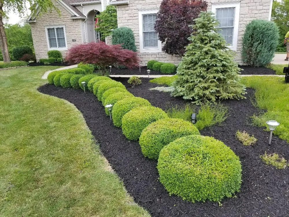 Expert yard cleanup service experts serving Akron, OH - Wilson's Lawn Care