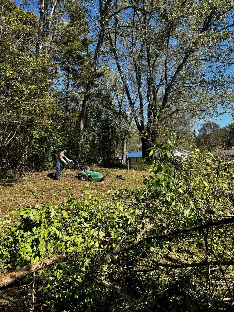 Expert landscaping services in Columbus, NC - Wilson’s Lawn Care