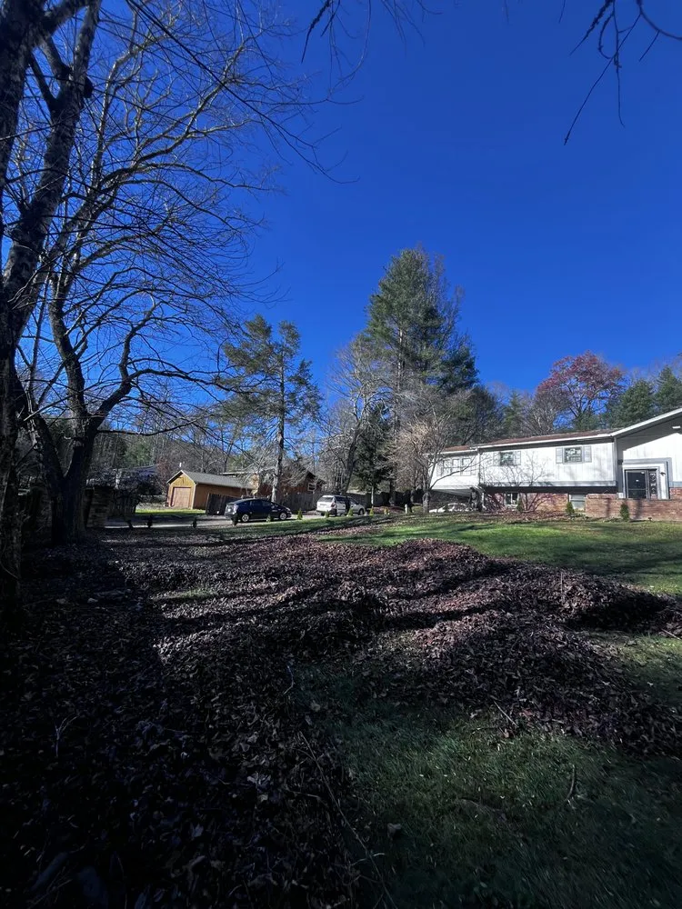 Top-rated lawn mowing service for outdoor upgrades in Columbus, NC by Wilson’s Lawn Care