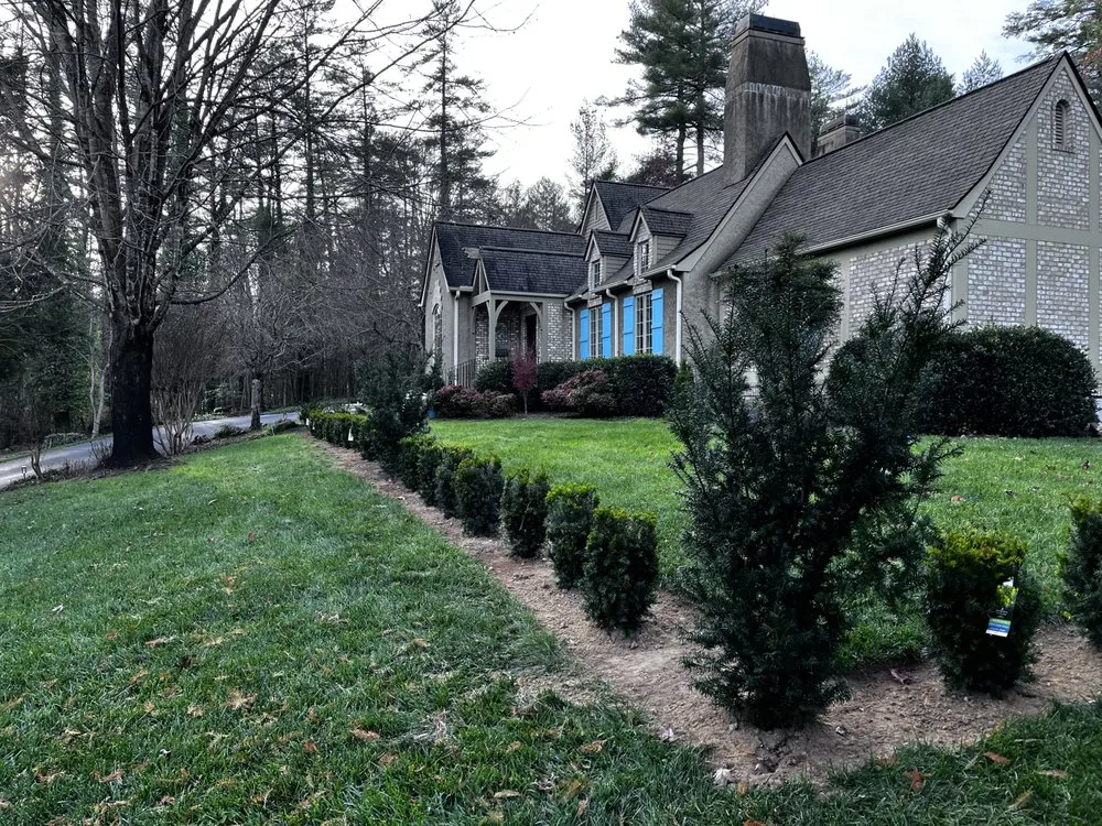 Expert yard cleanup service experts serving Columbus, NC - Wilson’s Lawn Care