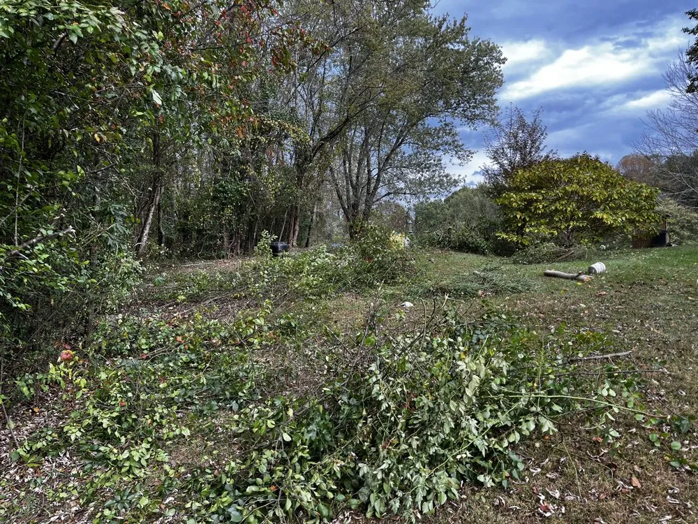 Professional residential landscaping near you across Columbus, NC - Wilson’s Lawn Care