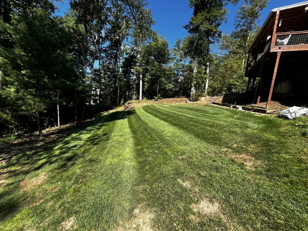 Professional yard maintenance in Columbus, NC by Wilson’s Lawn Care