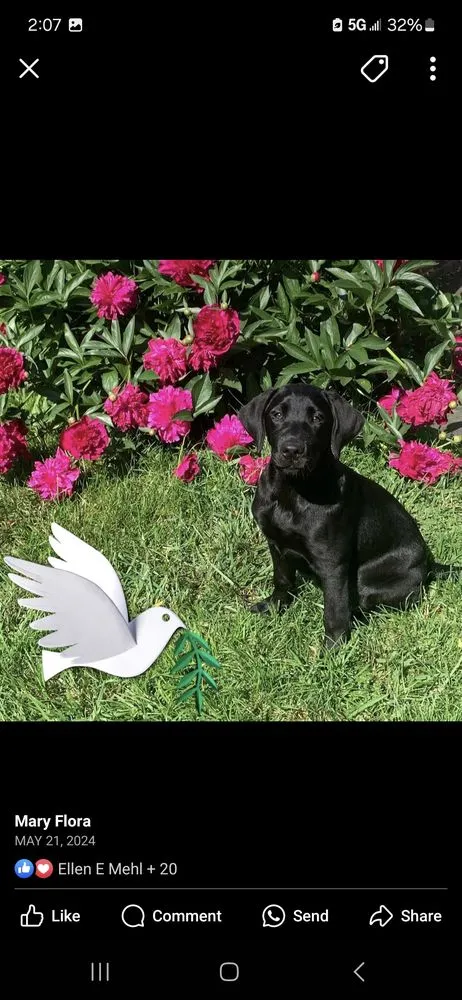 Affordable lawn mowing service experts serving Nottingham, MD - Wilsons Lawn Care