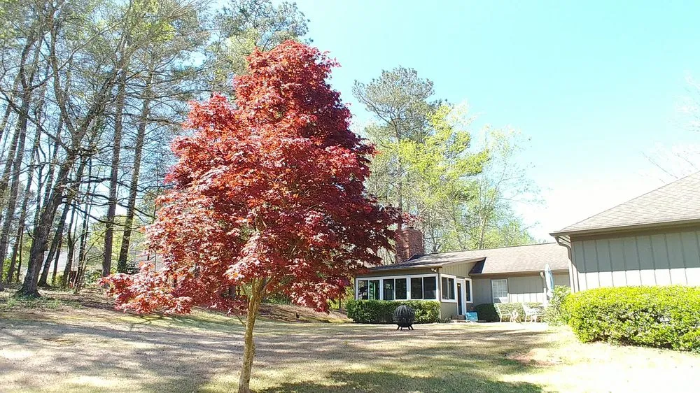 Top-rated landscape installation for year-round maintenance across LaGrange, GA - Wilson’s Lawn Care Service