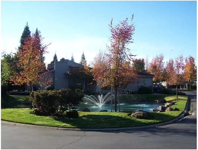 Top-rated lawn care service in Windsor, NC by Wilson's Lawn Service