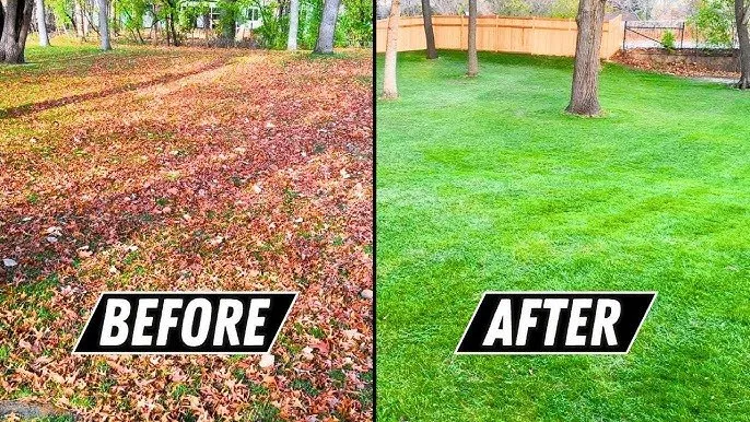 Top-rated yard maintenance in Medford, OR - Wilson’s leaf removal