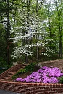 Professional landscaping services in Stanfield, NC - Wilson's Natural Landscaping