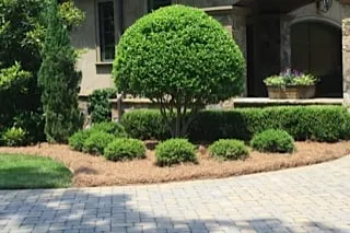 Top-rated landscape installation experts serving Stanfield, NC - Wilson's Natural Landscaping