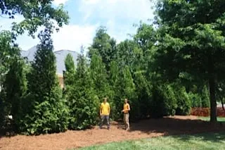 Custom outdoor landscaping experts serving Stanfield, NC - Wilson's Natural Landscaping