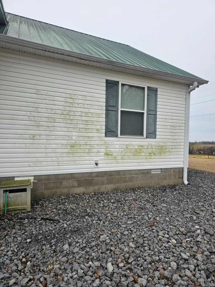 Trusted lawn care service in Obion, TN - Wilsons Soft Wash And Lawn Care