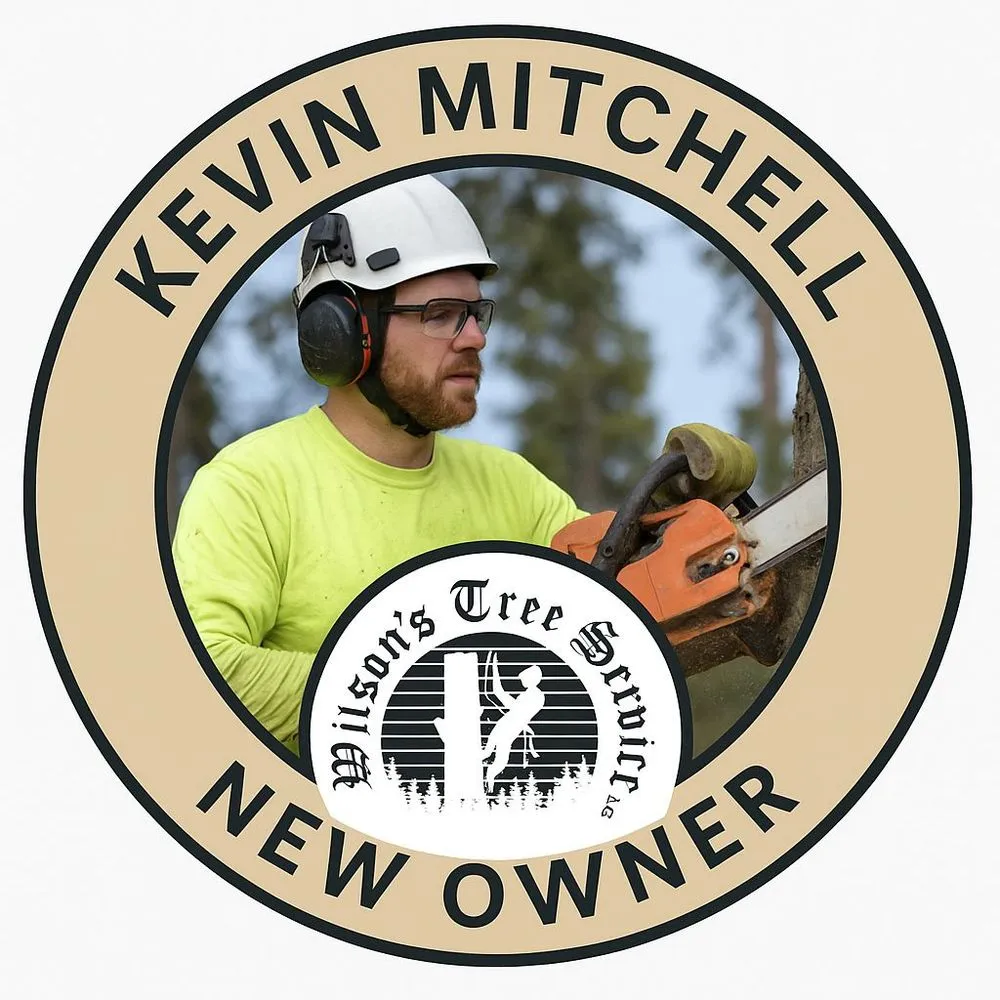 Reliable landscaping services experts serving Many, LA - Wilson's Tree Service