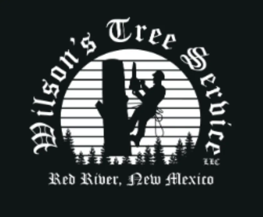 Professional landscape installation in Many, LA by Wilson's Tree Service