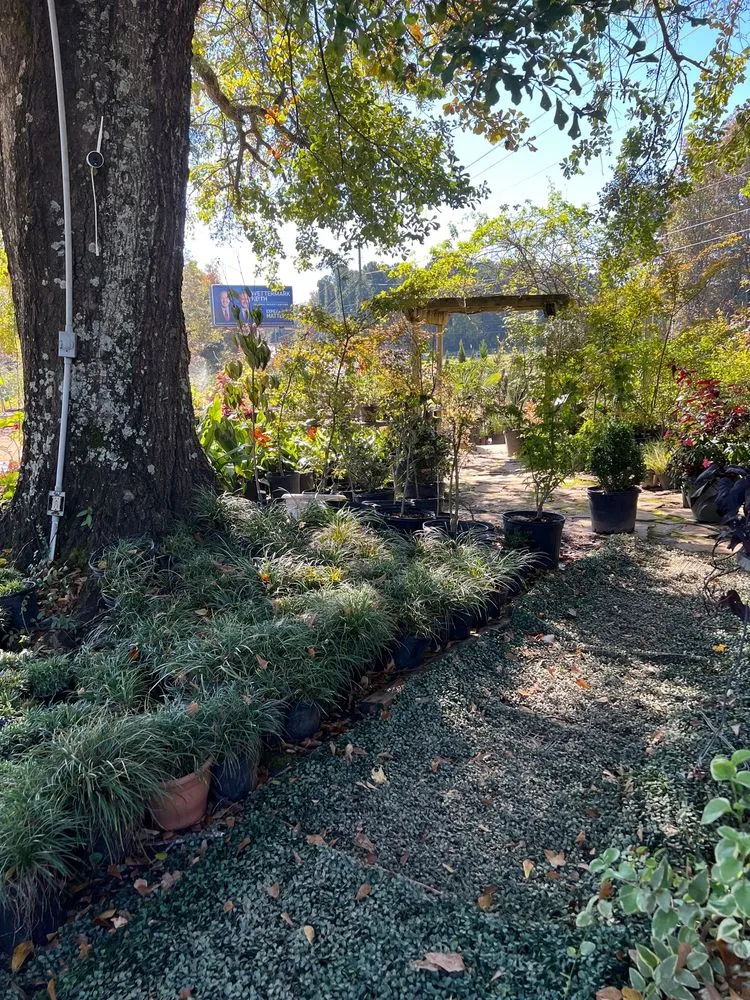 Expert lawn care service for year-round maintenance across Opelika, AL - Wilson's Woodyard