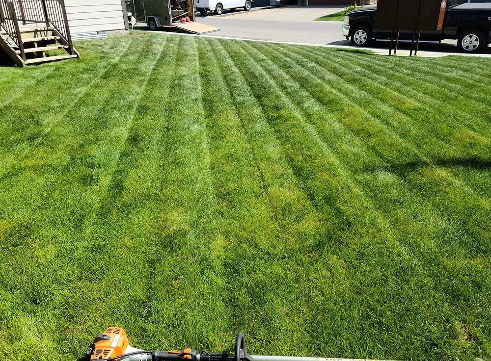 Top-rated residential landscaping near you across Baltimore, MD - Wiltondale Lawn Care