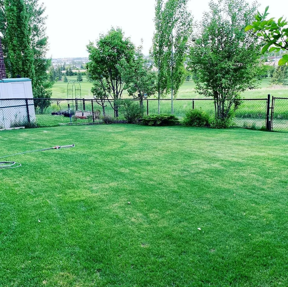 Reliable landscape installation for year-round maintenance across Baltimore, MD - Wiltondale Lawn Care