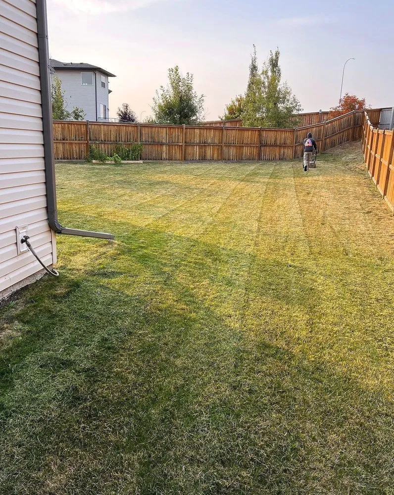 Expert garden landscaping in Baltimore, MD by Wiltondale Lawn Care