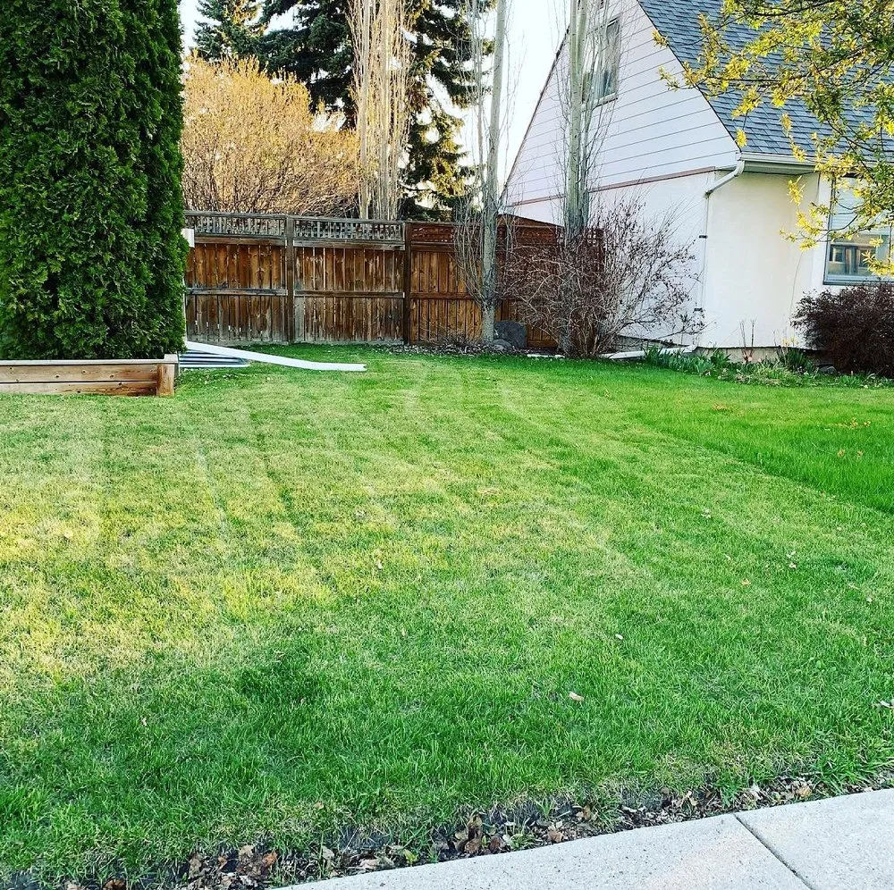 Custom lawn care service in Baltimore, MD - Wiltondale Lawn Care